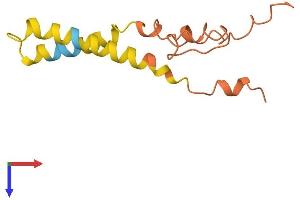 AlphaFold protein structure predicition of Mouse Recombinant Prr9 Protein, UniprotID Q8BV84