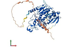 AlphaFold protein structure predicition of Mouse Recombinant Mgat2 Protein, UniprotID Q921V5