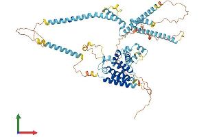 AlphaFold protein structure predicition of Human Recombinant RUNDC1 Protein, UniprotID Q96C34