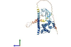 AlphaFold protein structure predicition of Human Recombinant PNMA6A Protein, UniprotID P0CW24