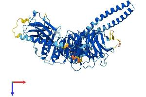 AlphaFold protein structure predicition of Human Recombinant BBS2 Protein, UniprotID Q9BXC9