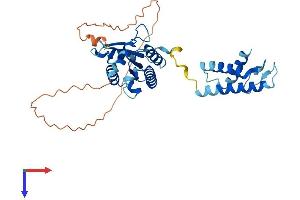 AlphaFold protein structure predicition of Mouse Recombinant Kti12 Protein, UniprotID Q9D1R2