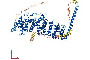 AlphaFold protein structure predicition of Mouse Recombinant Ppp2r5c Protein, UniprotID Q60996