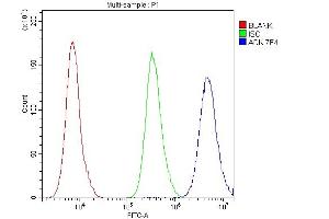 Flow Cytometry analysis of PC-3 cells using anti- ADK antibody (ABIN7600222). (ADK anticorps  (AA 165-351))