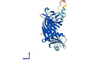 AlphaFold protein structure predicition of Human Recombinant AP2M1 Protein, UniprotID Q96CW1
