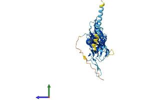 AlphaFold protein structure predicition of Human Recombinant KCNJ15 Protein, UniprotID Q99712
