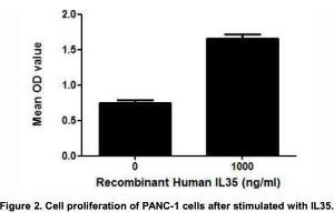 IL35 (Interleukin 35) is an IL-12 family cytokine, which is a dimeric protein composed of IL-12α and IL-27β chains.