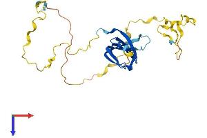AlphaFold protein structure predicition of Human Recombinant SNRPB Protein, UniprotID P14678