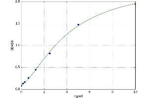A typical standard curve (DNMT1 Kit ELISA)