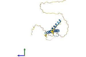 AlphaFold protein structure predicition of Mouse Recombinant Msc Protein, UniprotID O88940