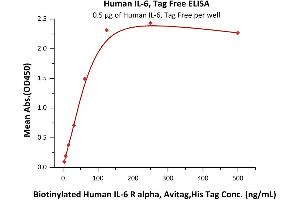 Interleukin 6 (IL6) (AA 30-212) (Active) protein