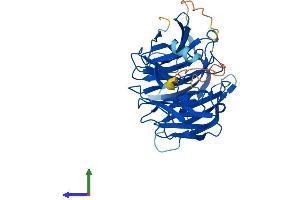 AlphaFold protein structure predicition of Human Recombinant EIPR1 Protein, UniprotID Q53HC9