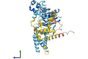AlphaFold protein structure predicition of Human Recombinant SRP54 Protein, UniprotID P61011