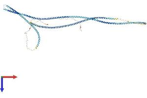 AlphaFold protein structure predicition of Human Recombinant ODF2 Protein, UniprotID Q5BJF6