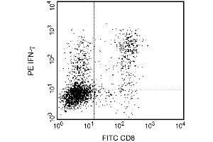 Expression of IFN-gamma by stimulated CD8+ and CD8-BALB/c spleen cells.