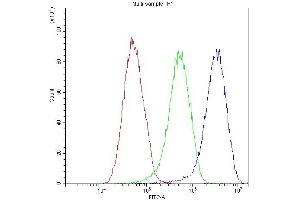 anti-Complement Factor I (CFI) (AA 19-220) antibody