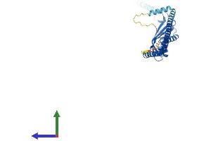AlphaFold protein structure predicition of Mouse Recombinant Erlin2 Protein, UniprotID Q8BFZ9