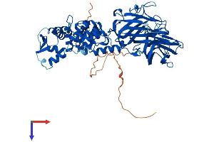 AlphaFold protein structure predicition of Human Recombinant BTBD9 Protein, UniprotID Q96Q07