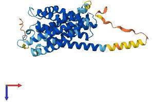 AlphaFold protein structure predicition of Human Recombinant SLC10A1 Protein, UniprotID Q14973