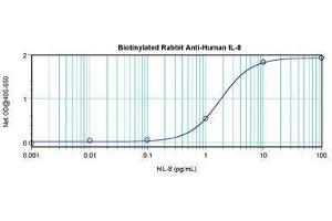 Image no. 1 for anti-Interleukin 8 (IL8) antibody (Biotin) (ABIN465817) (IL-8 anticorps  (Biotin))
