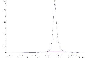 The purity of Human BTN3A2 is greater than 95 % as determined by SEC-HPLC.