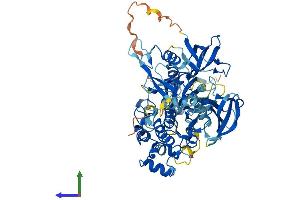 AlphaFold protein structure predicition of Mouse Recombinant Tec Protein, UniprotID P24604
