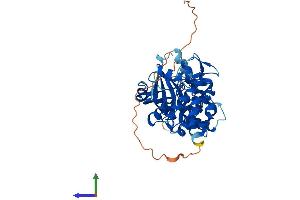 AlphaFold protein structure predicition of Human Recombinant NIM1K Protein, UniprotID Q8IY84