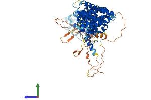 AlphaFold protein structure predicition of Mouse Recombinant Rrn3 Protein, UniprotID B2RS91