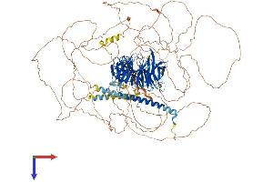 AlphaFold protein structure predicition of Human Recombinant PALB2 Protein, UniprotID Q86YC2