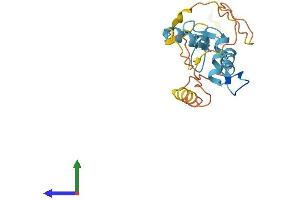 AlphaFold protein structure predicition of Human Recombinant ZNF740 Protein, UniprotID Q8NDX6