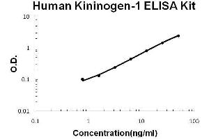 Human Kininogen-1/KNG1 ELISA Kit standard curve (KNG1 Kit ELISA)