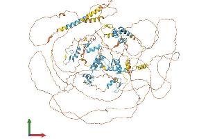 AlphaFold protein structure predicition of Human Recombinant ZEB2 Protein, UniprotID O60315