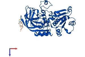 AlphaFold protein structure predicition of Human Recombinant ADH7 Protein, UniprotID P40394