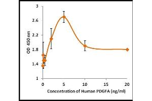 Activity Assay (AcA) image for Platelet Derived Growth Factor A (PDGFA) (Active) protein (ABIN5509326) (PDGFA Protéine)