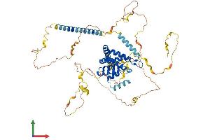 AlphaFold protein structure predicition of Mouse Recombinant Epn1 Protein, UniprotID Q80VP1