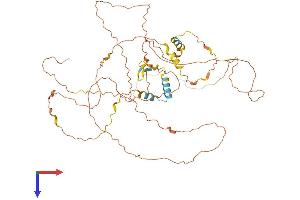 AlphaFold protein structure predicition of Human Recombinant CCDC8 Protein, UniprotID Q9H0W5