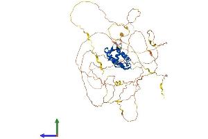 AlphaFold protein structure predicition of Human Recombinant FOXN1 Protein, UniprotID O15353