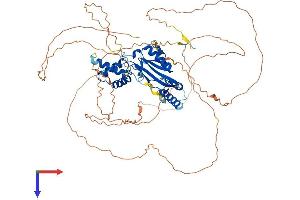 AlphaFold protein structure predicition of Mouse Recombinant Carf Protein, UniprotID Q8VHI4