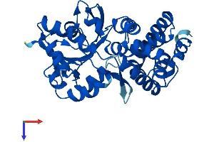 AlphaFold protein structure predicition of Mouse Recombinant Gpd1 Protein, UniprotID P13707
