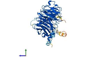 AlphaFold protein structure predicition of Human Recombinant CSTF1 Protein, UniprotID Q05048