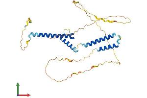 AlphaFold protein structure predicition of Mouse Recombinant Heyl Protein, UniprotID Q9DBX7