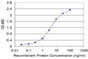 Detection limit for recombinant GST tagged FXN is approximately 0. (Frataxin anticorps  (AA 91-200))