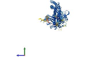 AlphaFold protein structure predicition of Human Recombinant IKBKE Protein, UniprotID Q14164
