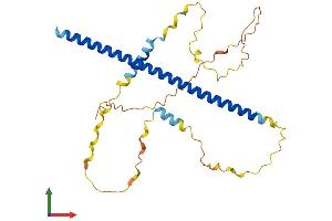 AlphaFold protein structure predicition of Mouse Recombinant Atf5 Protein, UniprotID O70191
