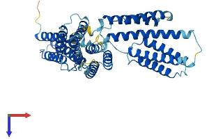AlphaFold protein structure predicition of Mouse Recombinant Bag5 Protein, UniprotID Q8CI32