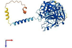 AlphaFold protein structure predicition of Mouse Recombinant Tmprss3 Protein, UniprotID Q8K1T0