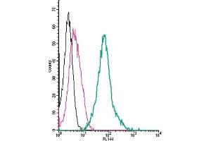 anti-Thromboxane A2 Receptor (TBXA2R) (AA 13-27), (Extracellular) antibody (FITC)