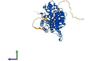 AlphaFold protein structure predicition of Human Recombinant DPYSL3 Protein, UniprotID Q14195