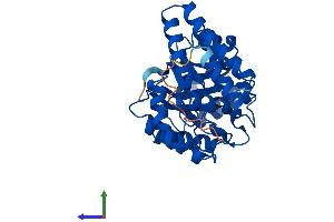 AlphaFold protein structure predicition of Human Recombinant NPL Protein, UniprotID Q9BXD5