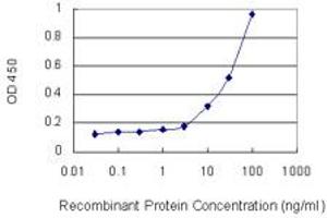 Detection limit for recombinant GST tagged CTGF is 1 ng/ml as a capture antibody.